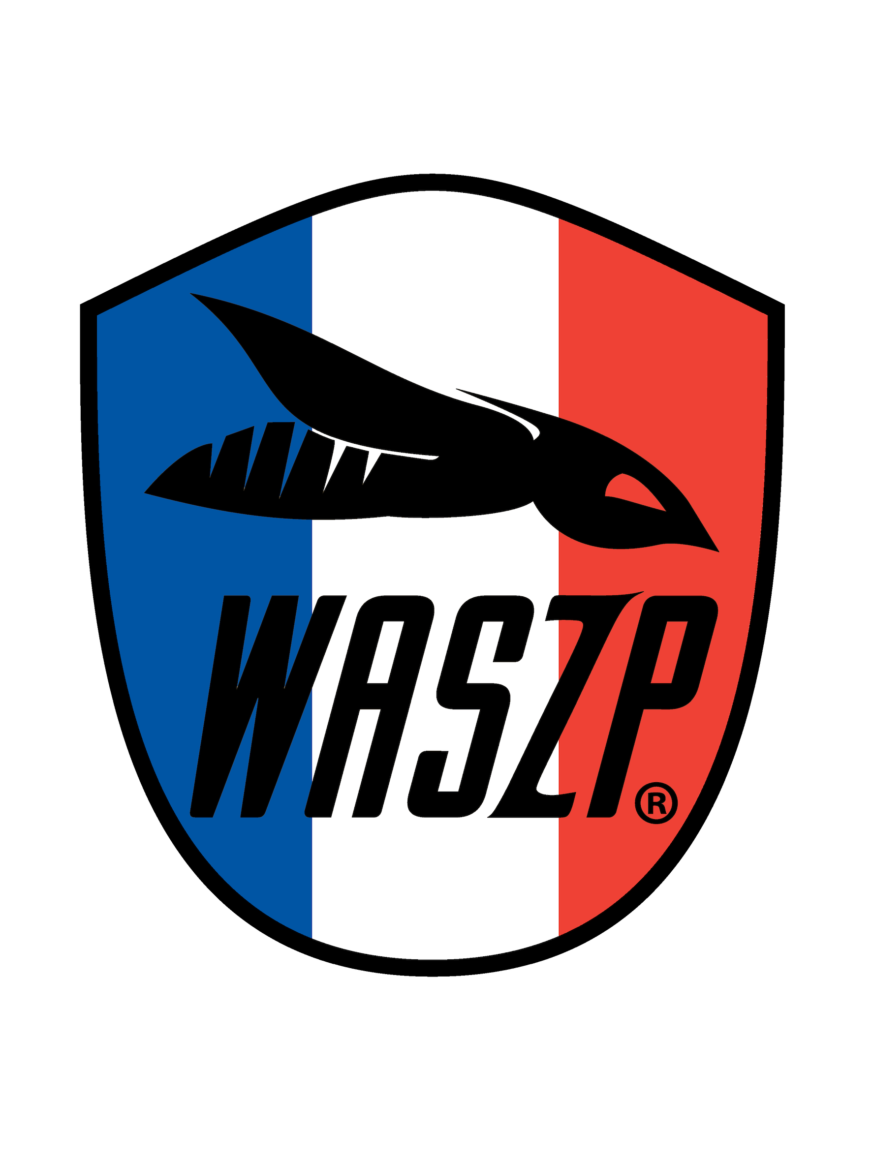 French WASZP Class Association