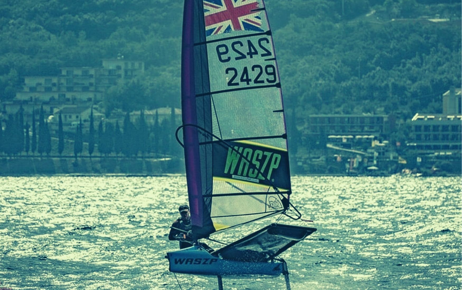 Daffodil Regatta