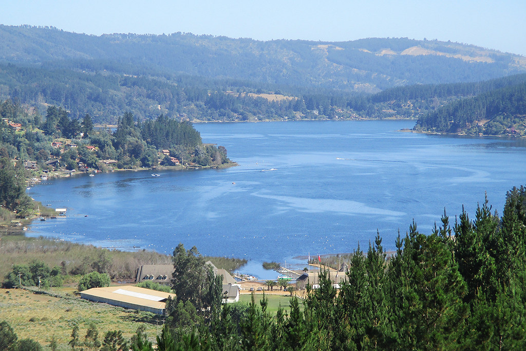 Chilean Nationals